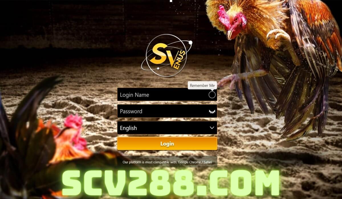 Scv288.com Link vào mạng tổng đá gà SV388 dành cho đại lý