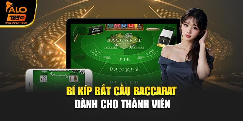 Bí kíp bắt cầu Baccarat dành cho thành viên