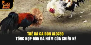 Thế Đá Gà Đòn – Alo789 Tổng Hợp Đòn Đá Hiểm Của Chiến Kê